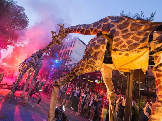Animals gegants per a cercaviles i festes