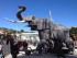 Animals articulats itinerants