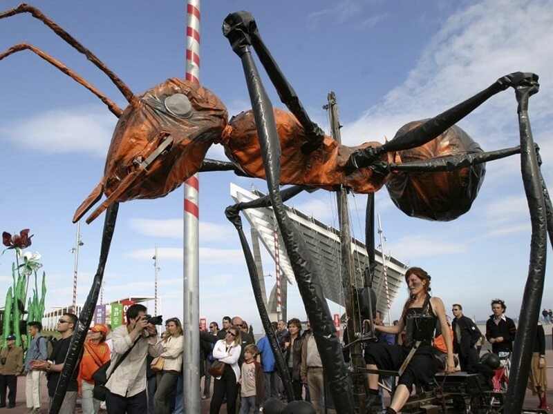 Insect visualization show