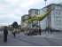 Insectos de grandes dimensiones para pasacalles