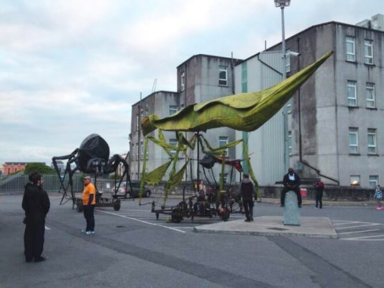 Insectos de grandes dimensiones para pasacalles